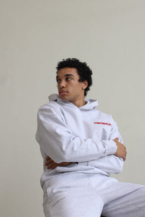 Toronto FC Essentials SuperHeavy™️ Hoodie - Ash
