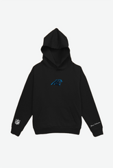 Sweat à capuche épais avec logo des Panthers de la Caroline - Noir