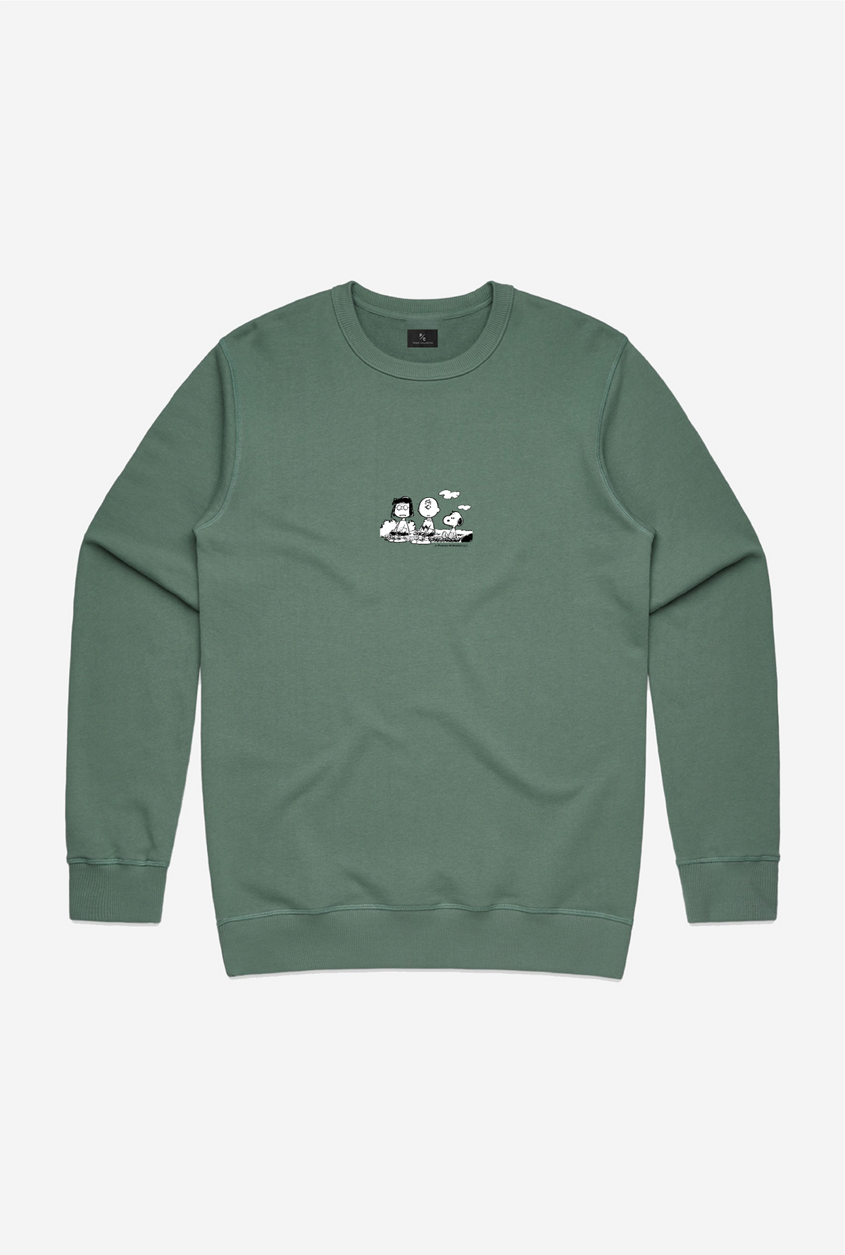 Pull ras du cou Peanuts Mental Health Matters - Sauge