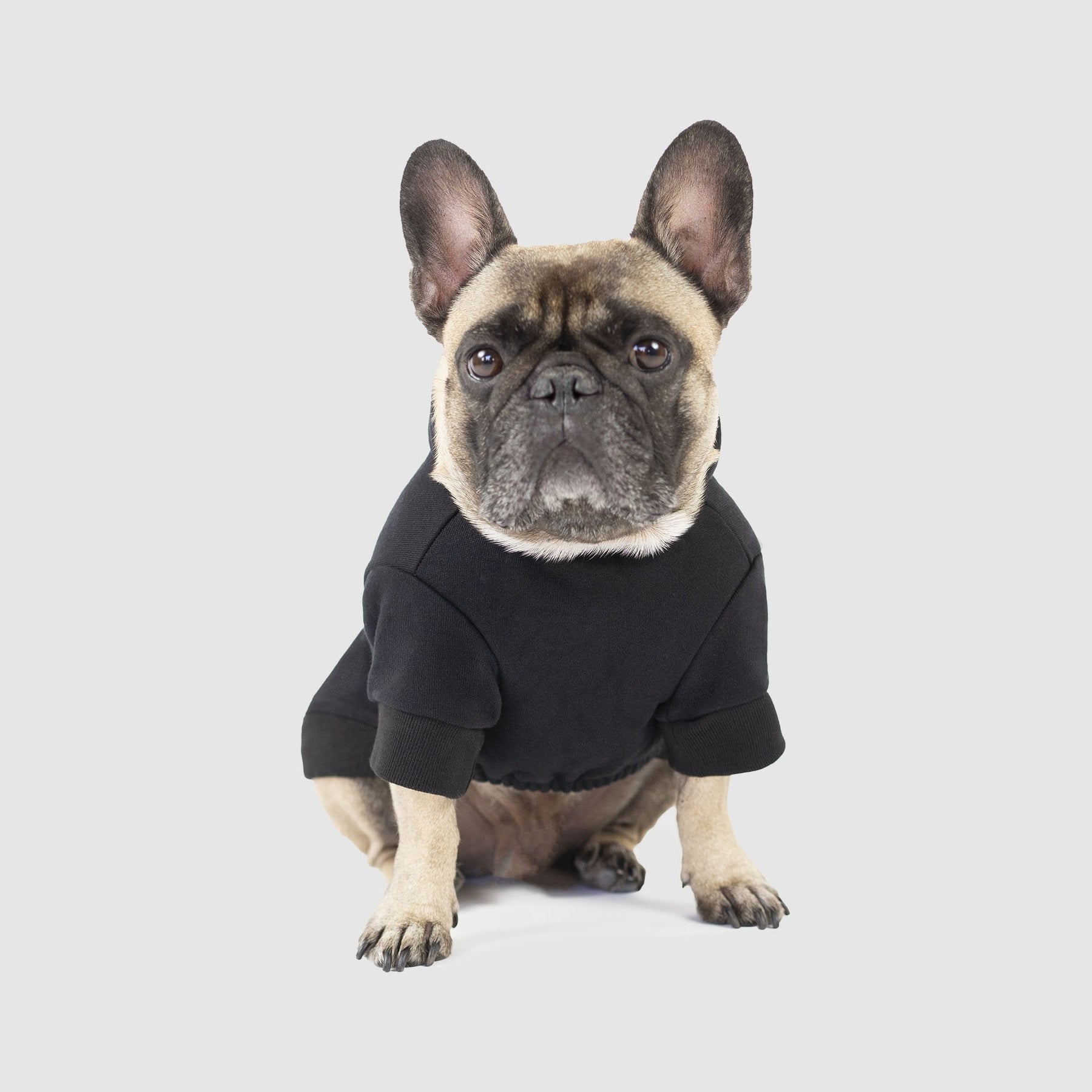 P/C x Canada Pooch Home is Toronto Dog Hoodie - Black - Duplicated