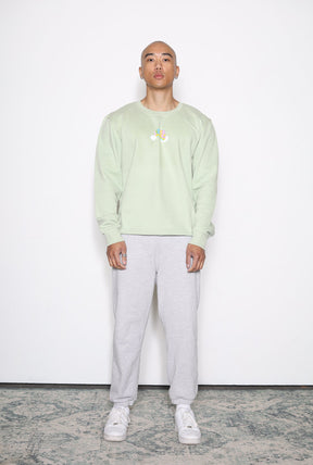 Care Bears Mental Health Matters Crewneck - Pastel Sage