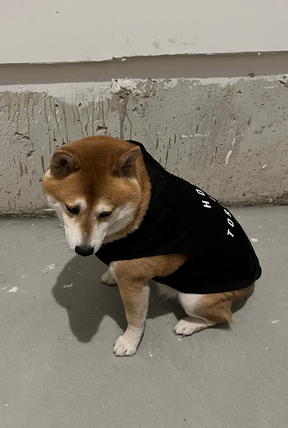 Home is Toronto Dog Hoodie - Black