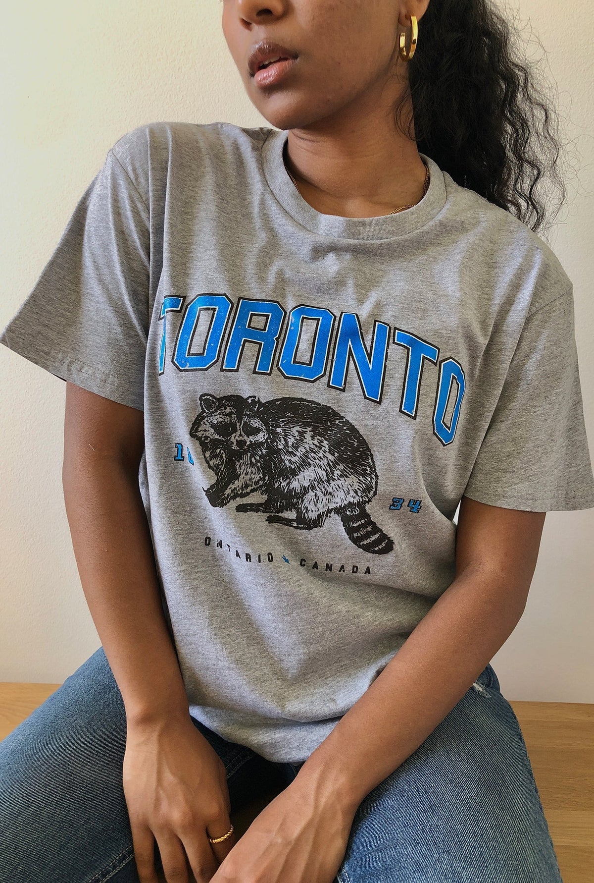 T-shirt raton laveur Toronto Vintage - Gris